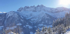 Chalet le Grenier des Crosets, Vue exceptionnelle sur les Dents du Midi